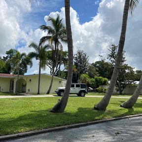 yard maintenance by Bearded landscaping reviewed on October 18, 2025