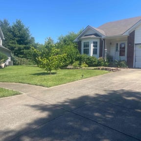 landscape maintenance by Procare Lawns reviewed on July 8, 2023