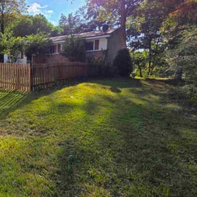 Bush Trimming by Newer Cuyahoga Lawn Care reviewed on June 13, 2020