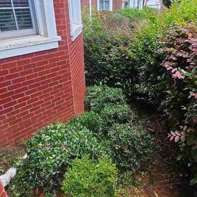 Bush Trimming by On Point Lawn Care reviewed on July 20, 2026