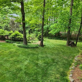 landscaping services by Mow-4-U reviewed on November 18, 2025