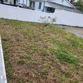 Leaf Removal by 1970 reviewed on March 18, 2026