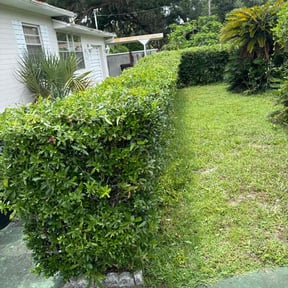 Bush Trimming by Crisp Cuts reviewed on August 21, 2025