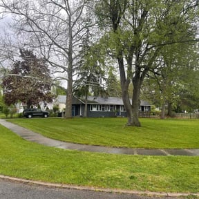 landscaping services by Frog's Handyman Service reviewed on December 5, 2025