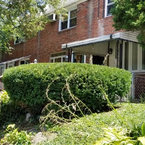 Bush Trimming by Y&amp;R reviewed on August 21, 2024