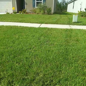 gardening service by 8 flag cuts reviewed on December 9, 2025