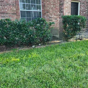 Bush Trimming by Indlawnservice reviewed on October 24, 2025