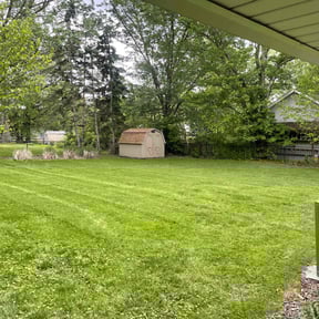turf care by Williams Lawn Care reviewed on July 7, 2022