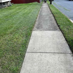 lawn service by VoidCare reviewed on September 18, 2024