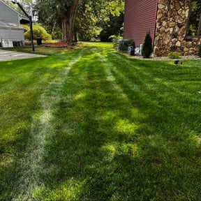 lawn maintenance by Clean Green Lawn Care reviewed on October 22, 2020
