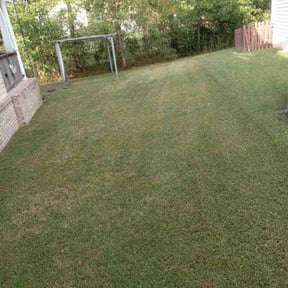 lawn care by Hernandezsnowremoval and landscaping services reviewed on May 11, 2024