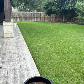 yard service by Individual reviewed on November 20, 2025