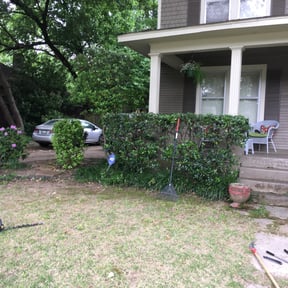 Bush Trimming by Coach A Lawn Care reviewed on August 15, 2025