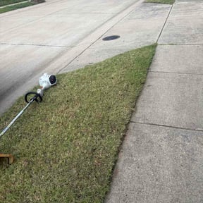 Bush Trimming by D&amp;D Lawn Care reviewed on June 13, 2026