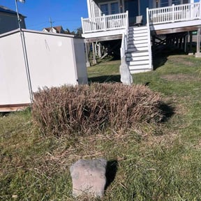 Bush Trimming by A&amp;M Scapes reviewed on October 18, 2025