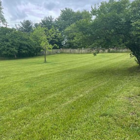 yard work by MOG &amp; Landscaping reviewed on October 7, 2024