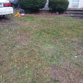 Leaf Removal by Ja-La Handyman &amp; Mower reviewed on November 26, 2025