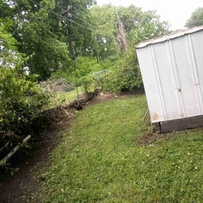 Leaf Removal by Anytime brush removal and lawn serv. reviewed on September 11, 2025