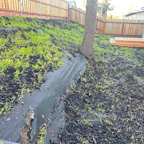 Leaf Removal by Green Tech Integrated Services Inc. reviewed on January 22, 2026