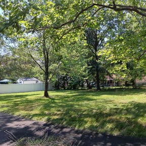 landscaping services by Dreamscapes Unlimited LLC reviewed on August 18, 2025