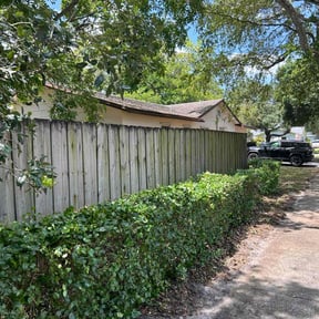 Bush Trimming by A Cut Above Lawn &amp; Landscaping reviewed on November 30, 2025