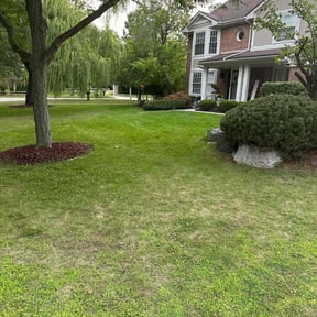 yard work by KC Lawncare reviewed on August 15, 2025