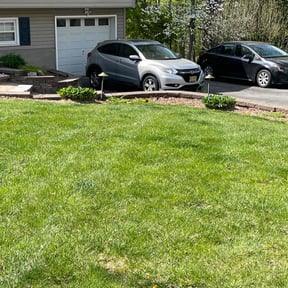 Leaf Removal by Kenny's Nice -N- Neat lawn servers reviewed on August 15, 2025
