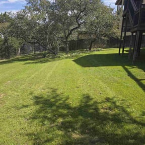lawn care by Chai reviewed on August 6, 2022