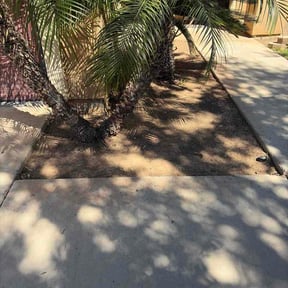 Leaf Removal by H &amp; S Lawn Service. reviewed on March 18, 2026