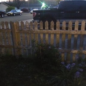 Bush Trimming by Electric Cut Lawn Care reviewed on August 15, 2025