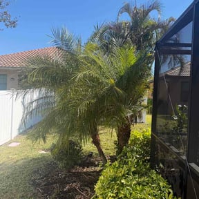 Bush Trimming by Precise touch lawn services reviewed on February 12, 2026