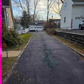 Leaf Removal by Precise cuts reviewed on August 1, 2026