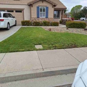 grass maintenance by Shaggy cuts,INC reviewed on August 20, 2025