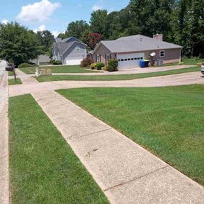 yard maintenance by Dream Life Services LLC reviewed on December 30, 2025