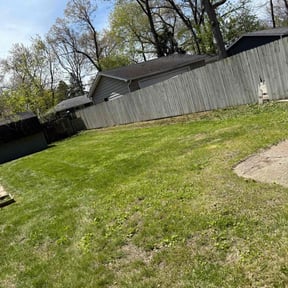 Leaf Removal by Ccs lawncare reviewed on September 17, 2025