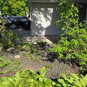 Leaf Removal by Jay's Tree and Lawn reviewed on May 27, 2026