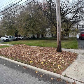 Leaf Removal by Home Care by The Beach LLC reviewed on November 19, 2025