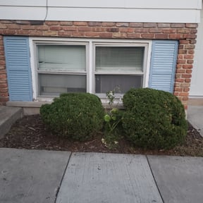 Bush Trimming by Fuller Gardening, LLC reviewed on August 15, 2025