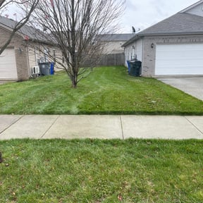 grass cutting by Chris's lawn services reviewed on September 2, 2023