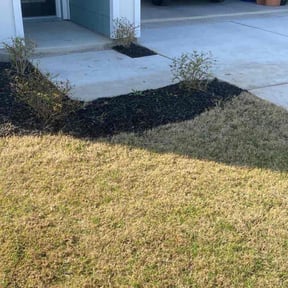 Bush Trimming by Love Your Lawn reviewed on August 19, 2025