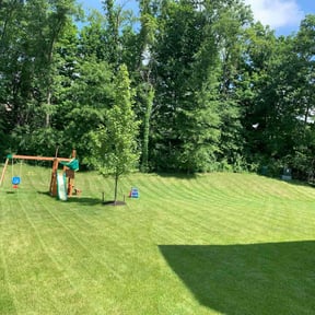 landscaping by LOCAL Landscaping &amp; Lawn Maintenance reviewed on May 18, 2025