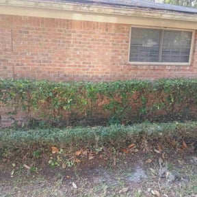 Bush Trimming by Waters Landscaping reviewed on March 7, 2023