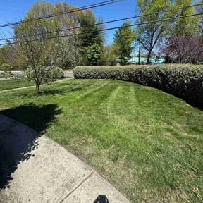 yard work by W M Lawn Care Service reviewed on May 12, 2025