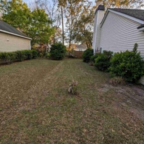 Leaf Removal by Type A Lawn Guy reviewed on September 24, 2025