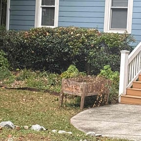 Bush Trimming by Precise Cut Lawn Care reviewed on May 2, 2022