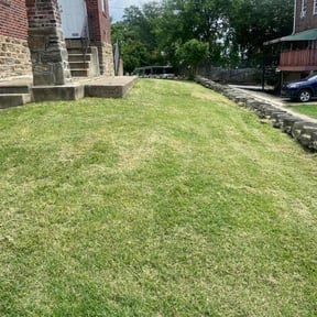 grass cutting by Richard Kidman reviewed on May 10, 2024