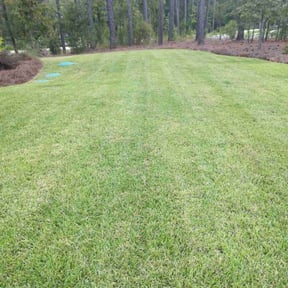 yard care by Stream Scene Landscaping reviewed on December 18, 2025