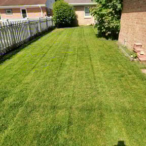 yard care by S&S Upscale Lawn Care & Snow Removal LLC reviewed on August 15, 2025