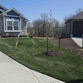 grass maintenance by Nates Lawn Service reviewed on April 15, 2024
