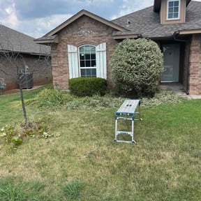 Bush Trimming by BBMP reviewed on October 22, 2025